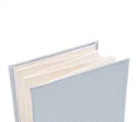 album fotos sanfonado det ical 461