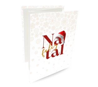 Álbum de fotos Sanfonado - 743